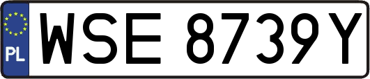 WSE8739Y