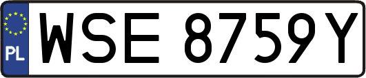 WSE8759Y