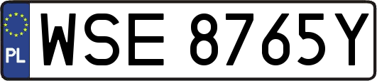 WSE8765Y