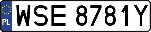 WSE8781Y