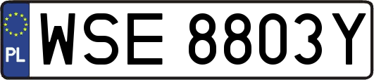 WSE8803Y