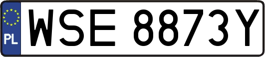 WSE8873Y