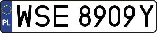 WSE8909Y