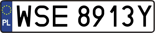 WSE8913Y
