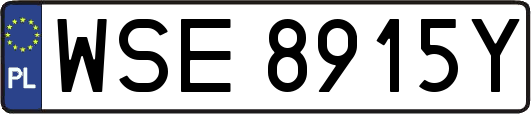 WSE8915Y