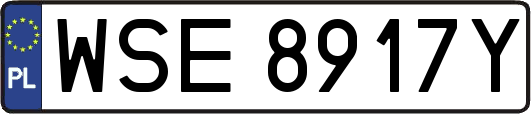 WSE8917Y