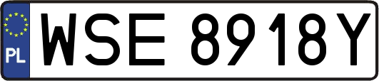 WSE8918Y