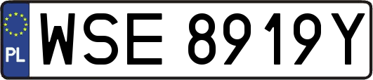 WSE8919Y