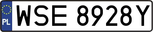 WSE8928Y
