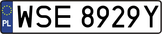 WSE8929Y