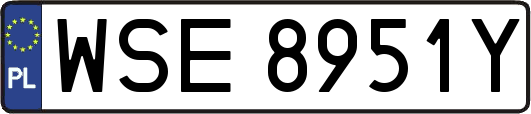 WSE8951Y