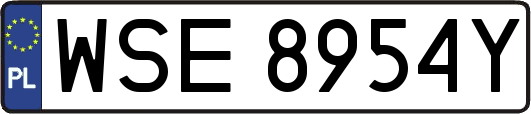 WSE8954Y