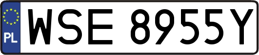 WSE8955Y
