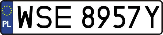 WSE8957Y