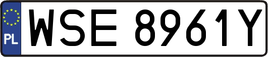 WSE8961Y