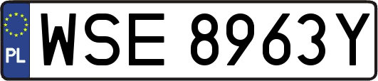 WSE8963Y