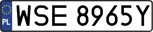 WSE8965Y