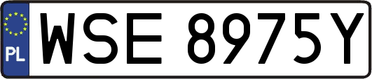 WSE8975Y