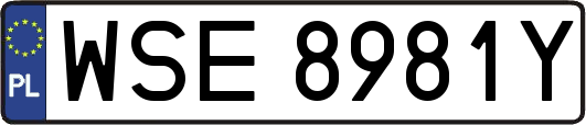WSE8981Y