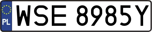 WSE8985Y