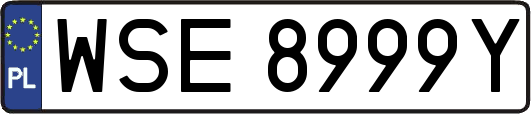 WSE8999Y