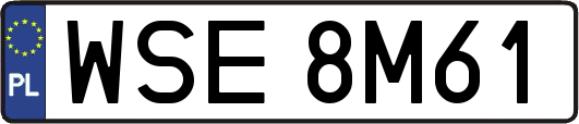 WSE8M61