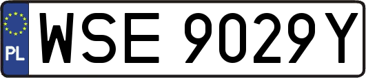 WSE9029Y