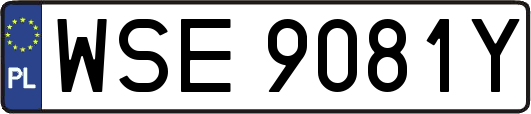 WSE9081Y