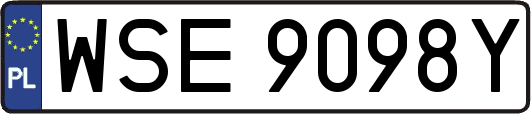 WSE9098Y