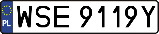 WSE9119Y