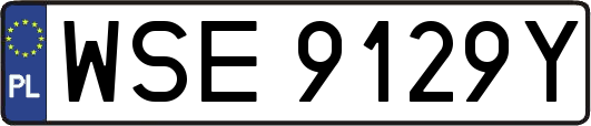 WSE9129Y
