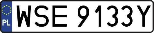 WSE9133Y