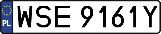 WSE9161Y