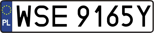WSE9165Y