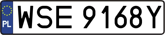 WSE9168Y