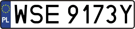 WSE9173Y