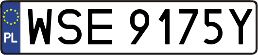 WSE9175Y