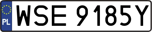 WSE9185Y