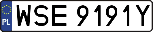 WSE9191Y