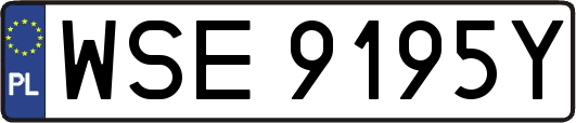 WSE9195Y