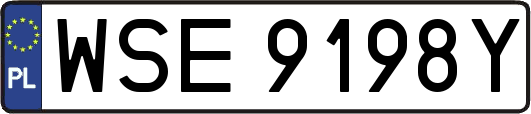 WSE9198Y