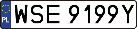 WSE9199Y