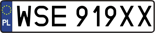 WSE919XX