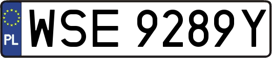 WSE9289Y