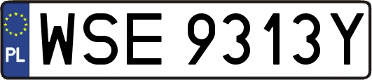 WSE9313Y