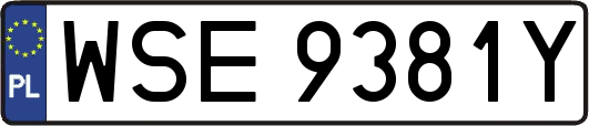 WSE9381Y