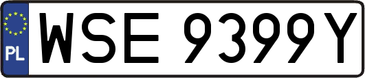 WSE9399Y