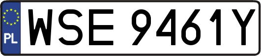WSE9461Y