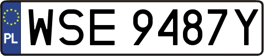WSE9487Y