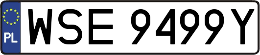 WSE9499Y